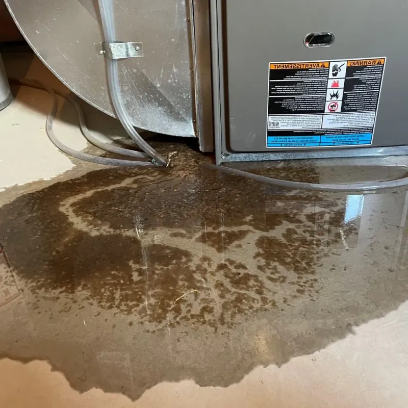 Pipe Burst and Leak Restoration in New London, CT