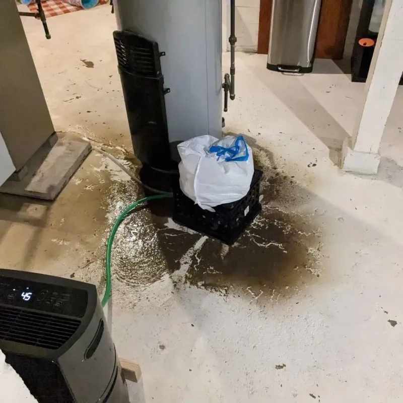 Sewage Backup Cleanup Service in New London, CT